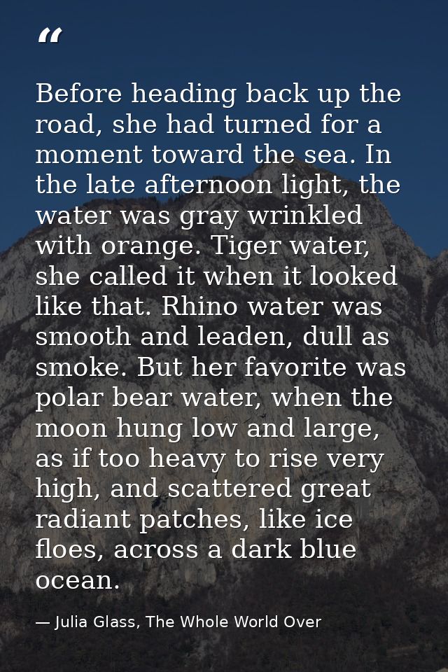 Before heading back up the road, she had turned for a moment toward the sea. In the late afternoon light, the water was  — Julia Glass, The Whole World Over