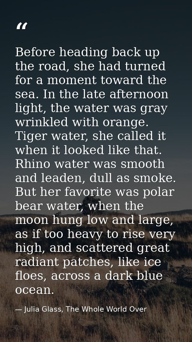 Before heading back up the road, she had turned for a moment toward the sea. In the late afternoon light, the water was  — Julia Glass, The Whole World Over