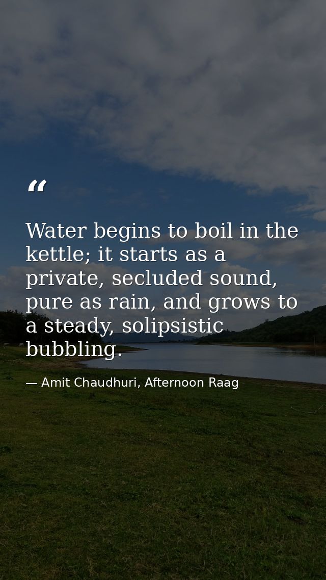 Water begins to boil in the kettle; it starts as a private, secluded sound, pure as rain, and grows to a steady, solipsi — Amit Chaudhuri, Afternoon Raag