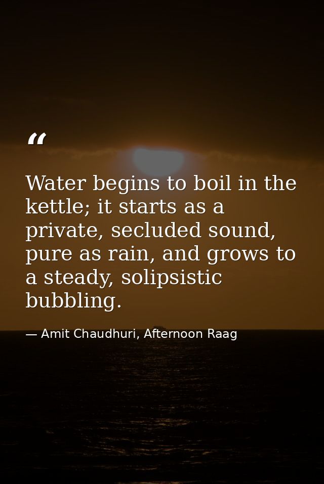 Water begins to boil in the kettle; it starts as a private, secluded sound, pure as rain, and grows to a steady, solipsi — Amit Chaudhuri, Afternoon Raag