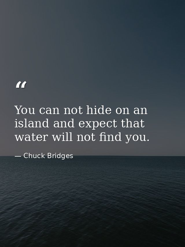 You can not hide on an island and expect that water will not find you. — Chuck Bridges