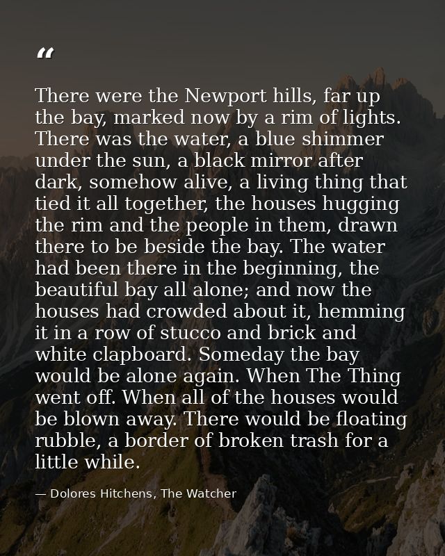 There were the Newport hills, far up the bay, marked now by a rim of lights. There was the water, a blue shimmer under t — Dolores Hitchens, The Watcher