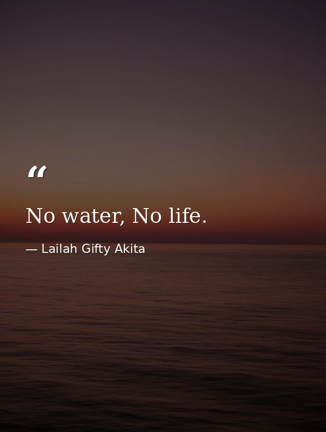 No water, No life. — Lailah Gifty Akita