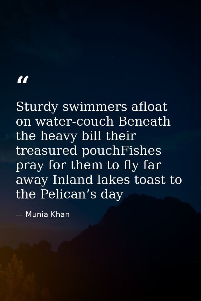 Sturdy swimmers afloat on water-couch Beneath the heavy bill their treasured pouchFishes pray for them to fly far away I — Munia Khan