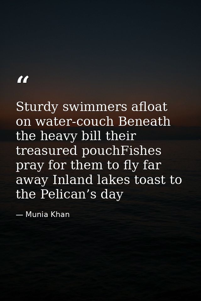 Sturdy swimmers afloat on water-couch Beneath the heavy bill their treasured pouchFishes pray for them to fly far away I — Munia Khan