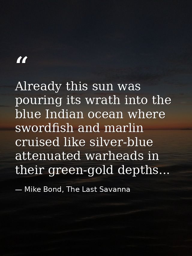 Already this sun was pouring its wrath into the blue Indian ocean where swordfish and marlin cruised like silver-blue at — Mike Bond, The Last Savanna