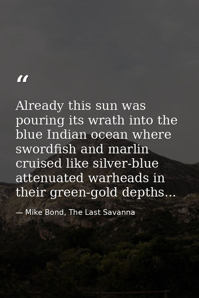 Already this sun was pouring its wrath into the blue Indian ocean where swordfish and marlin cruised like silver-blue at — Mike Bond, The Last Savanna