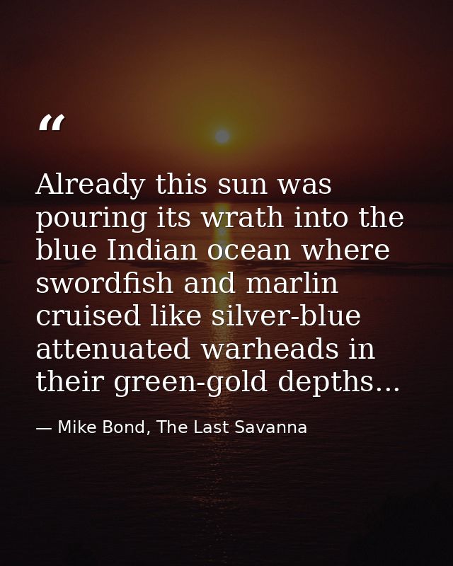 Already this sun was pouring its wrath into the blue Indian ocean where swordfish and marlin cruised like silver-blue at — Mike Bond, The Last Savanna