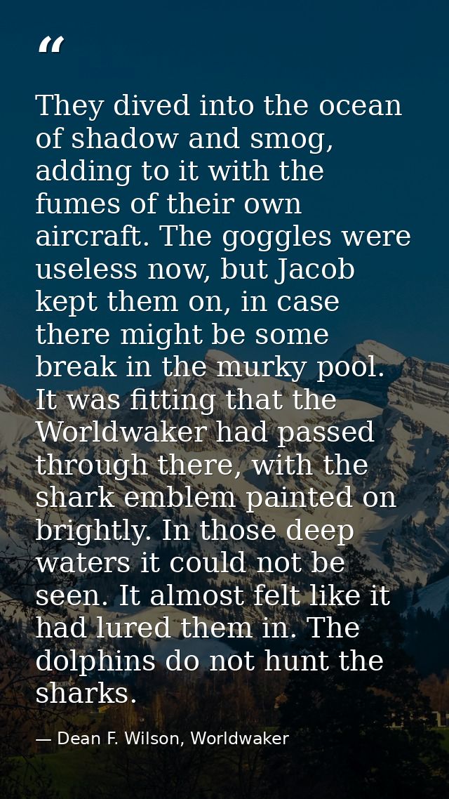 They dived into the ocean of shadow and smog, adding to it with the fumes of their own aircraft. The goggles were useles — Dean F. Wilson, Worldwaker