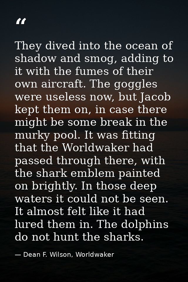 They dived into the ocean of shadow and smog, adding to it with the fumes of their own aircraft. The goggles were useles — Dean F. Wilson, Worldwaker