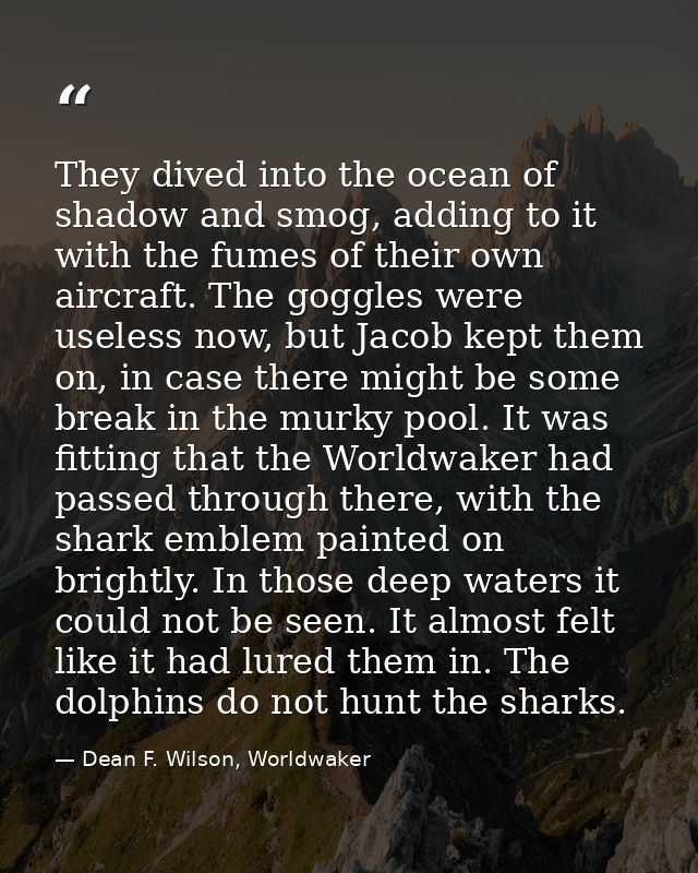 They dived into the ocean of shadow and smog, adding to it with the fumes of their own aircraft. The goggles were useles — Dean F. Wilson, Worldwaker