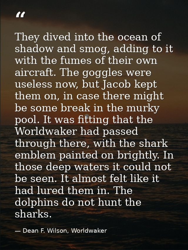 They dived into the ocean of shadow and smog, adding to it with the fumes of their own aircraft. The goggles were useles — Dean F. Wilson, Worldwaker