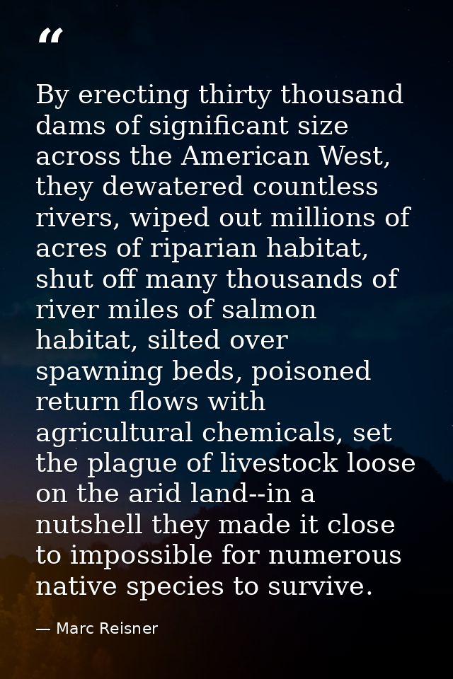 By erecting thirty thousand dams of significant size across the American West, they dewatered countless rivers, wiped ou — Marc Reisner