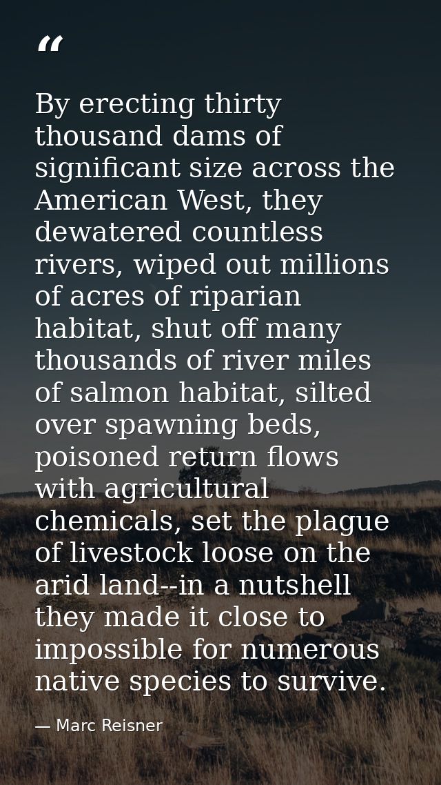 By erecting thirty thousand dams of significant size across the American West, they dewatered countless rivers, wiped ou — Marc Reisner