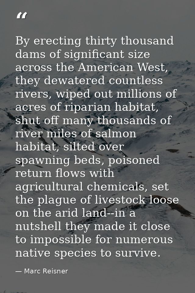 By erecting thirty thousand dams of significant size across the American West, they dewatered countless rivers, wiped ou — Marc Reisner