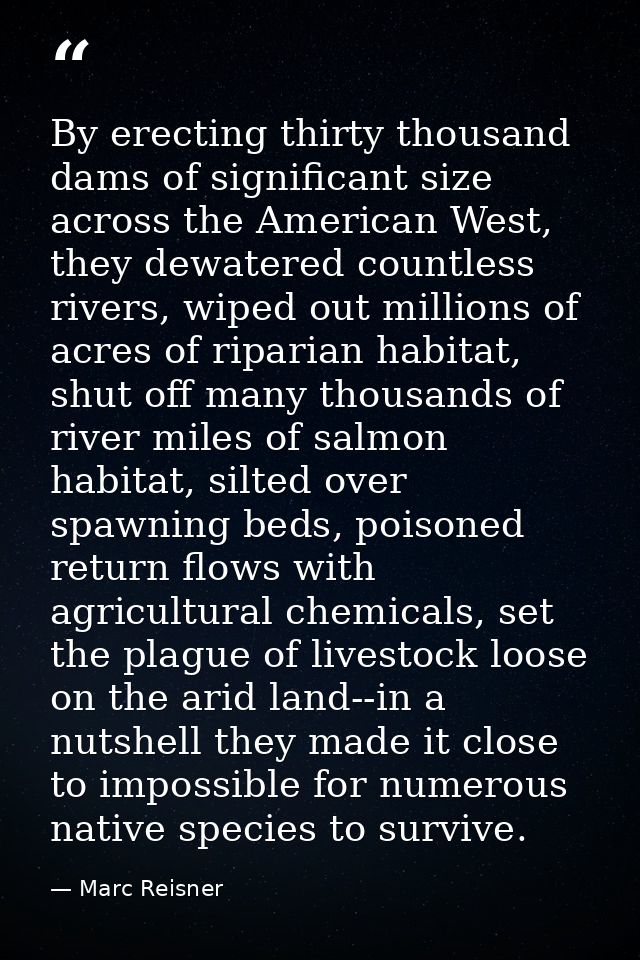 By erecting thirty thousand dams of significant size across the American West, they dewatered countless rivers, wiped ou — Marc Reisner