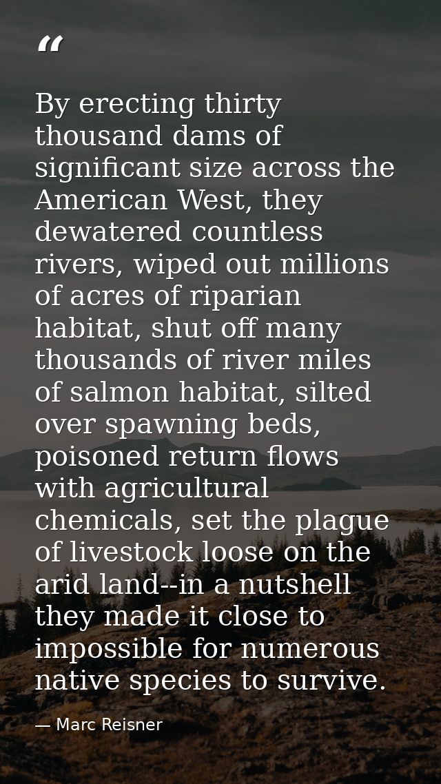 By erecting thirty thousand dams of significant size across the American West, they dewatered countless rivers, wiped ou — Marc Reisner