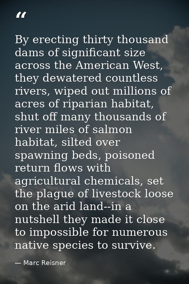 By erecting thirty thousand dams of significant size across the American West, they dewatered countless rivers, wiped ou — Marc Reisner