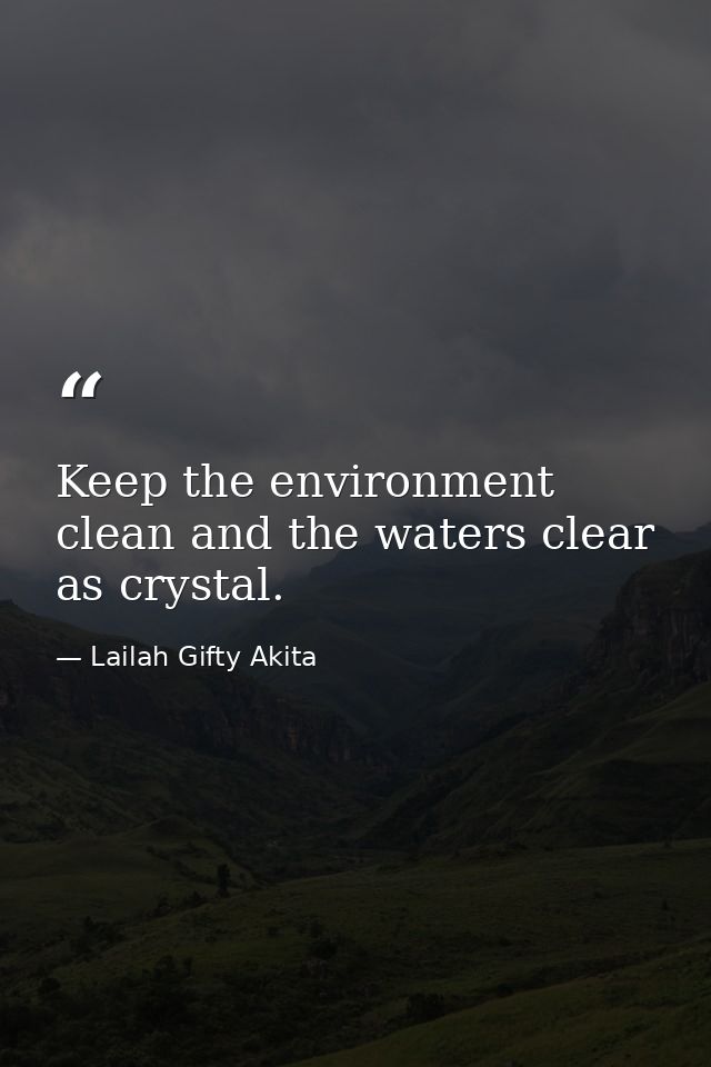 Keep the environment clean and the waters clear as crystal. — Lailah Gifty Akita