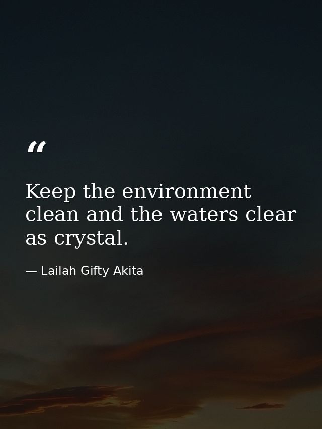 Keep the environment clean and the waters clear as crystal. — Lailah Gifty Akita