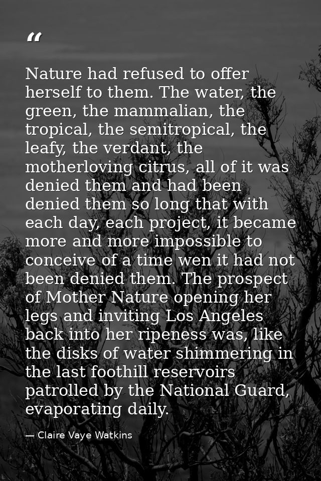 Nature had refused to offer herself to them. The water, the green, the mammalian, the tropical, the semitropical, the le — Claire Vaye Watkins