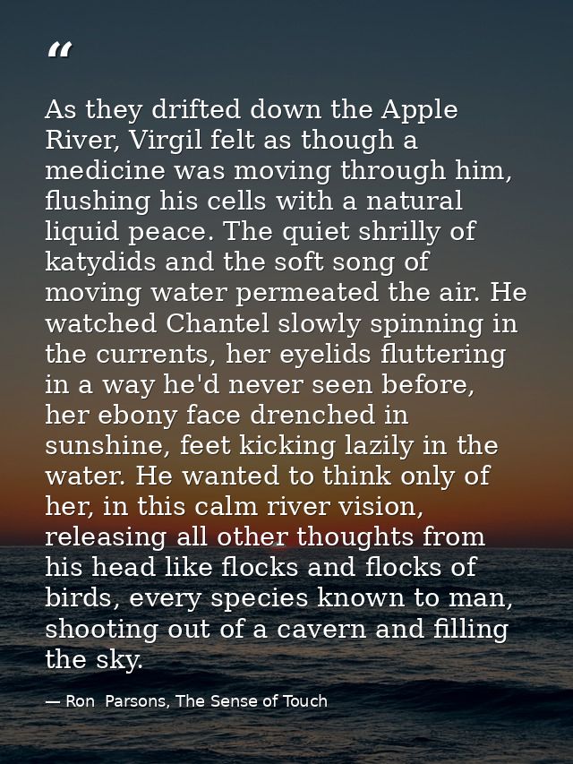 As they drifted down the Apple River, Virgil felt as though a medicine was moving through him, flushing his cells with a — Ron  Parsons, The Sense of Touch
