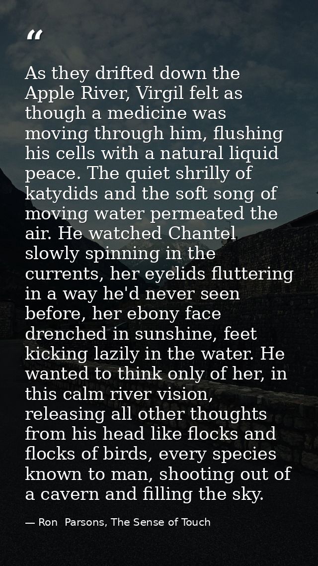 As they drifted down the Apple River, Virgil felt as though a medicine was moving through him, flushing his cells with a — Ron  Parsons, The Sense of Touch
