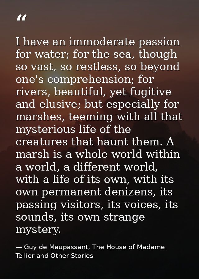 I have an immoderate passion for water; for the sea, though so vast, so restless, so beyond one's comprehension; for riv — Guy de Maupassant, The House of Madame Tellier and Other Stories
