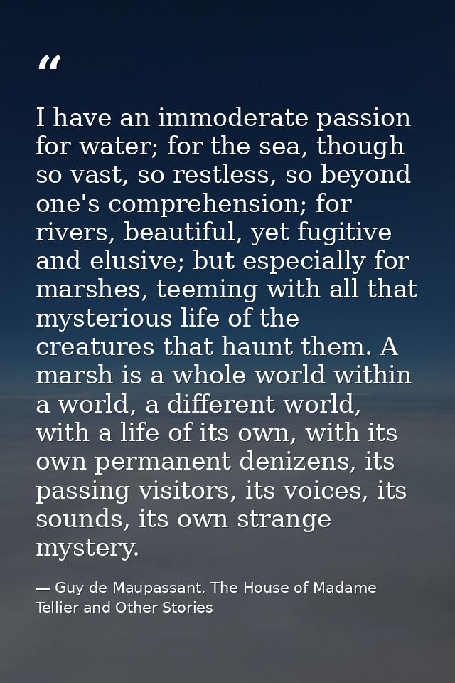 I have an immoderate passion for water; for the sea, though so vast, so restless, so beyond one's comprehension; for riv — Guy de Maupassant, The House of Madame Tellier and Other Stories