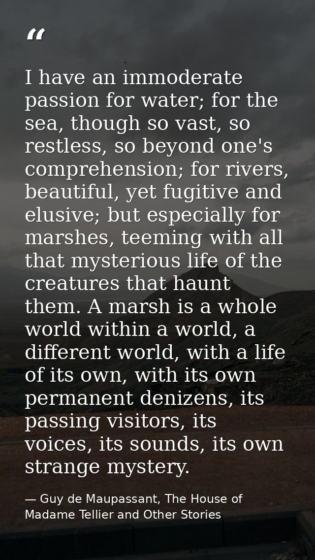 I have an immoderate passion for water; for the sea, though so vast, so restless, so beyond one's comprehension; for riv — Guy de Maupassant, The House of Madame Tellier and Other Stories