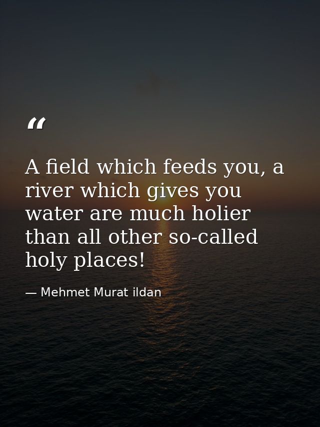 A field which feeds you, a river which gives you water are much holier than all other so-called holy places! — Mehmet Murat ildan