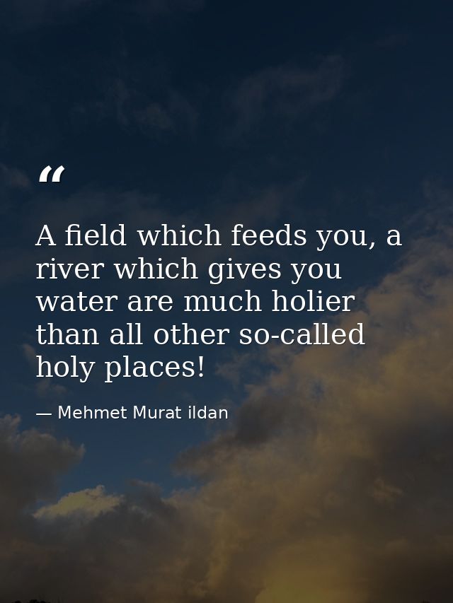 A field which feeds you, a river which gives you water are much holier than all other so-called holy places! — Mehmet Murat ildan