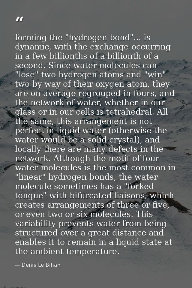 forming the "hydrogen bond"... is dynamic, with the exchange occurring in a few billionths of a billionth of a second. S — Denis Le Bihan