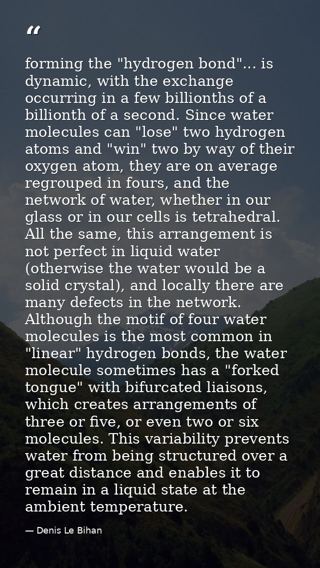 forming the "hydrogen bond"... is dynamic, with the exchange occurring in a few billionths of a billionth of a second. S — Denis Le Bihan