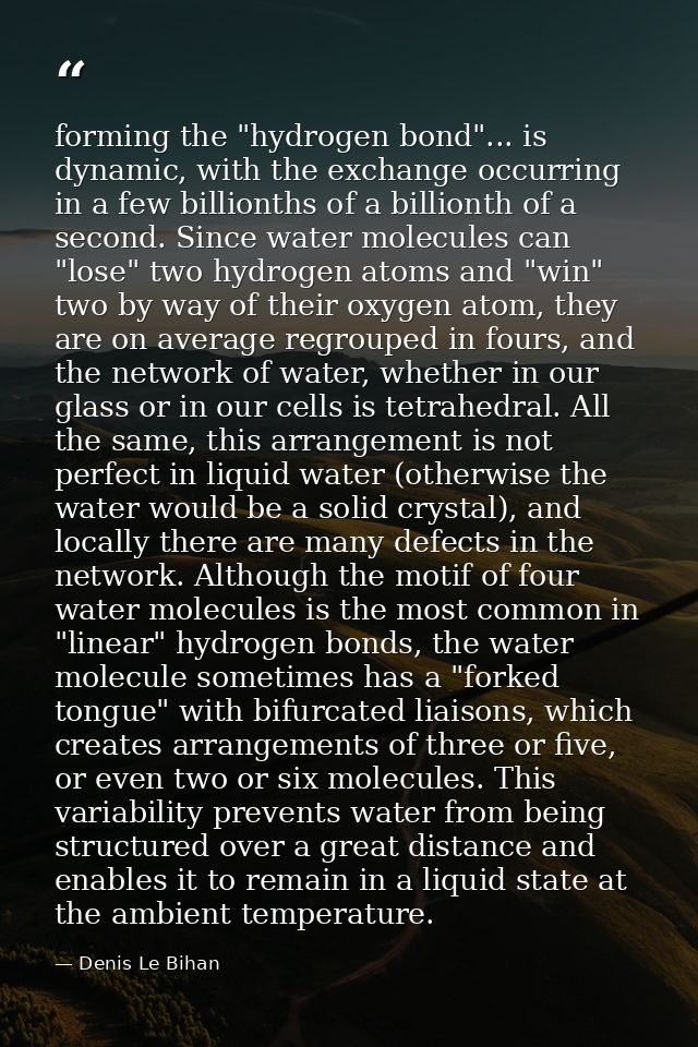 forming the "hydrogen bond"... is dynamic, with the exchange occurring in a few billionths of a billionth of a second. S — Denis Le Bihan