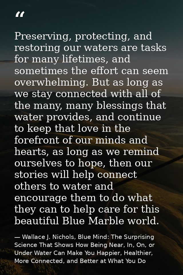 Preserving, protecting, and restoring our waters are tasks for many lifetimes, and sometimes the effort can seem overwhe — Wallace J. Nichols, Blue Mind: The Surprising Science That Shows How Being Near, In, On, or Under Water Can Make You Happier, Healthier, More Connected, and Better at What You Do