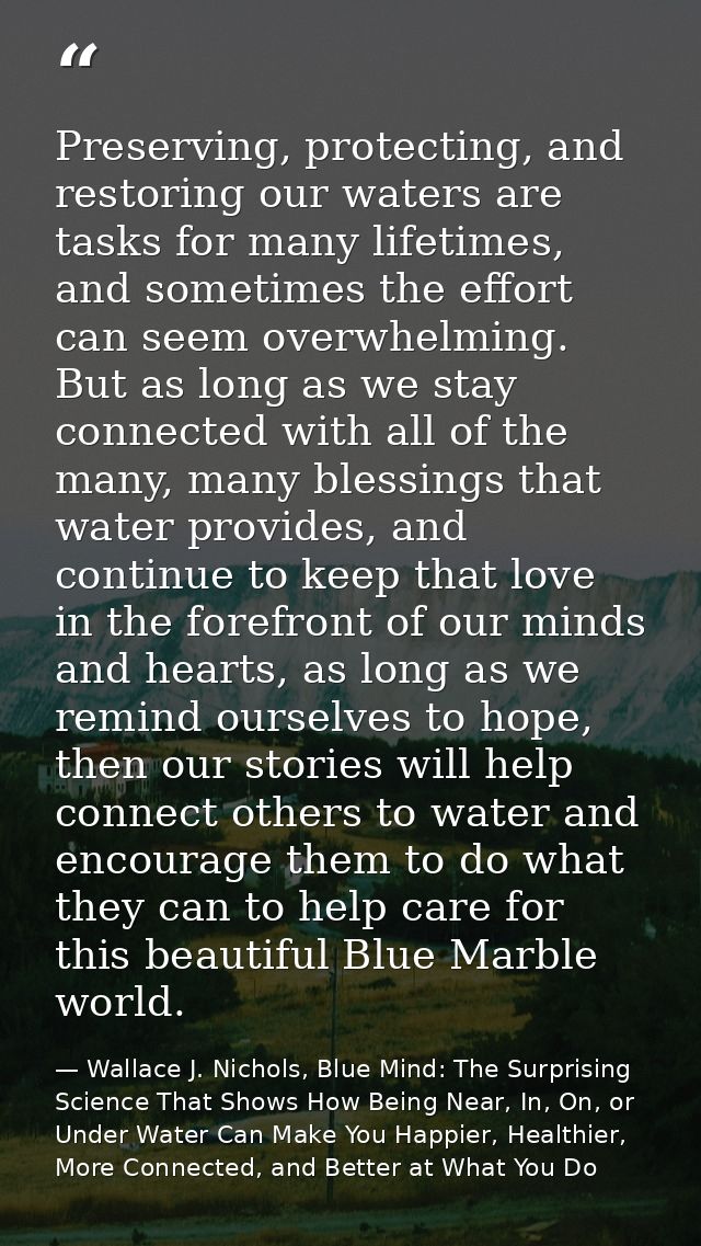 Preserving, protecting, and restoring our waters are tasks for many lifetimes, and sometimes the effort can seem overwhe — Wallace J. Nichols, Blue Mind: The Surprising Science That Shows How Being Near, In, On, or Under Water Can Make You Happier, Healthier, More Connected, and Better at What You Do