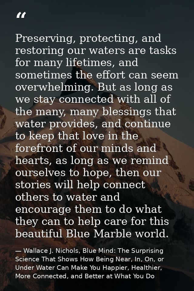 Preserving, protecting, and restoring our waters are tasks for many lifetimes, and sometimes the effort can seem overwhe — Wallace J. Nichols, Blue Mind: The Surprising Science That Shows How Being Near, In, On, or Under Water Can Make You Happier, Healthier, More Connected, and Better at What You Do