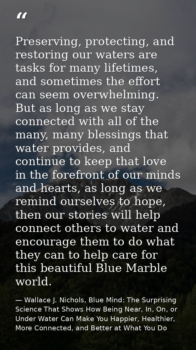 Preserving, protecting, and restoring our waters are tasks for many lifetimes, and sometimes the effort can seem overwhe — Wallace J. Nichols, Blue Mind: The Surprising Science That Shows How Being Near, In, On, or Under Water Can Make You Happier, Healthier, More Connected, and Better at What You Do