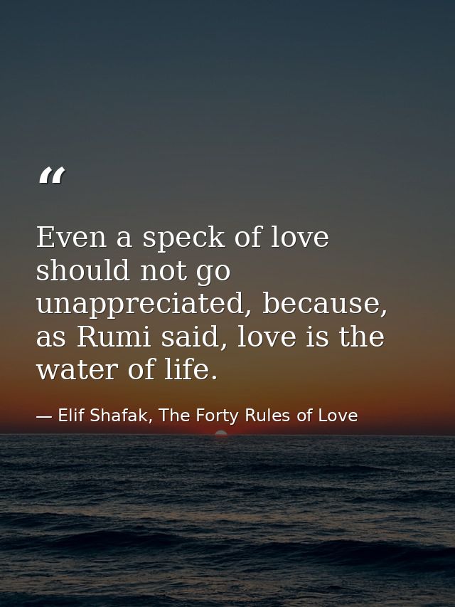 Even a speck of love should not go unappreciated, because, as Rumi said, love is the water of life. — Elif Shafak, The Forty Rules of Love