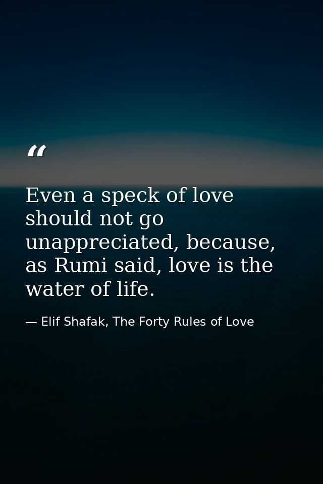 Even a speck of love should not go unappreciated, because, as Rumi said, love is the water of life. — Elif Shafak, The Forty Rules of Love