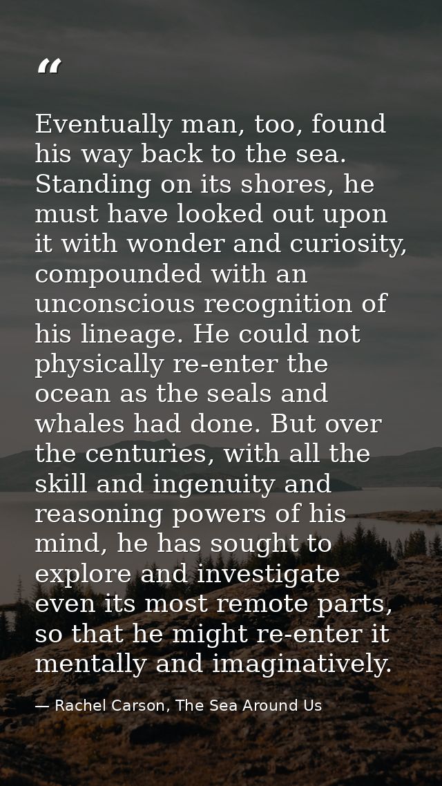 Eventually man, too, found his way back to the sea. Standing on its shores, he must have looked out upon it with wonder  — Rachel Carson, The Sea Around Us