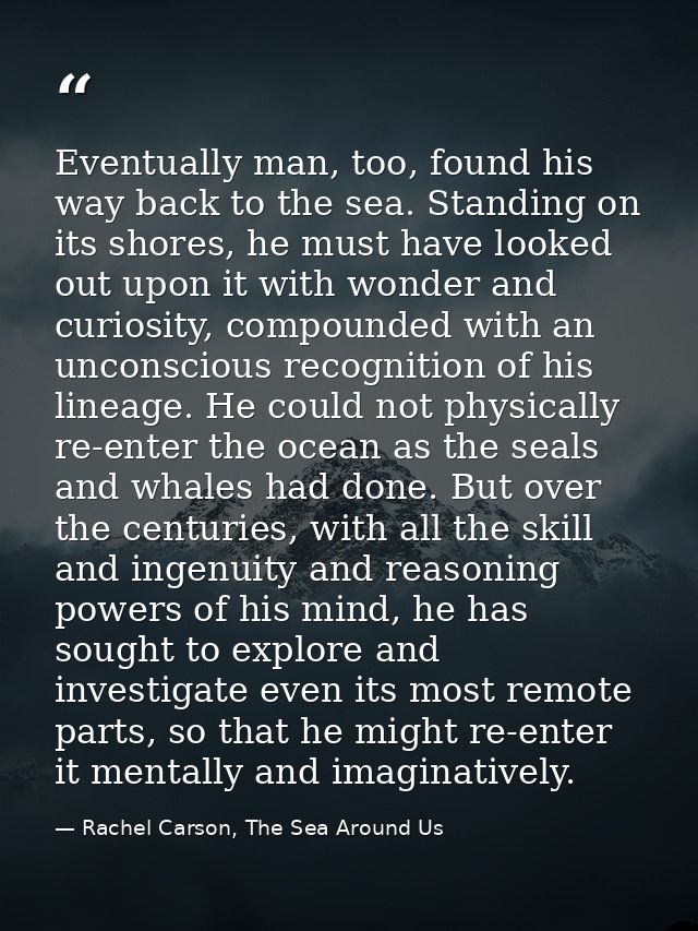 Eventually man, too, found his way back to the sea. Standing on its shores, he must have looked out upon it with wonder  — Rachel Carson, The Sea Around Us