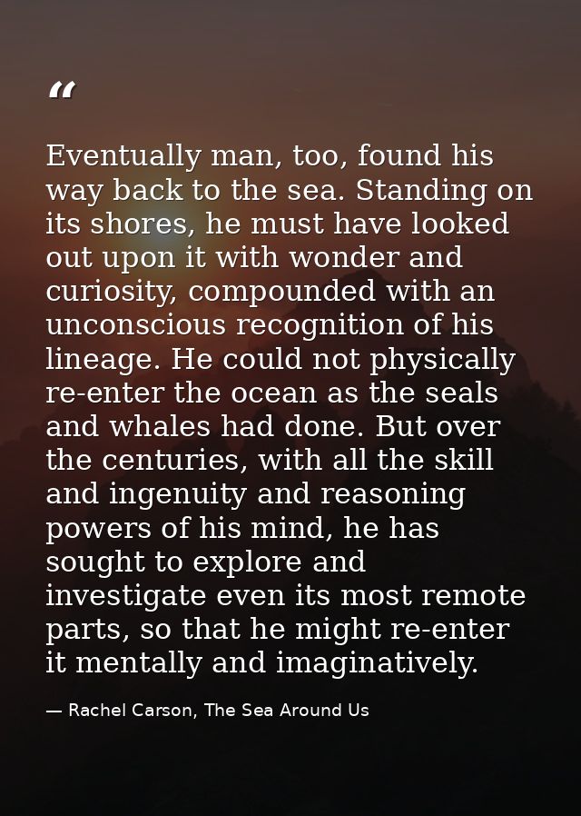Eventually man, too, found his way back to the sea. Standing on its shores, he must have looked out upon it with wonder  — Rachel Carson, The Sea Around Us