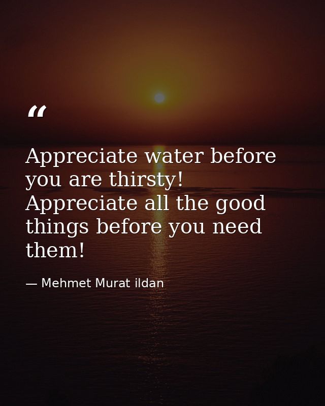 Appreciate water before you are thirsty! Appreciate all the good things before you need them! — Mehmet Murat ildan