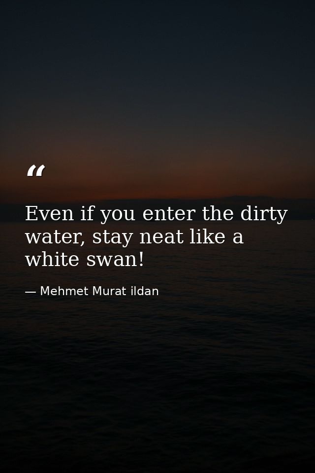 Even if you enter the dirty water, stay neat like a white swan! — Mehmet Murat ildan
