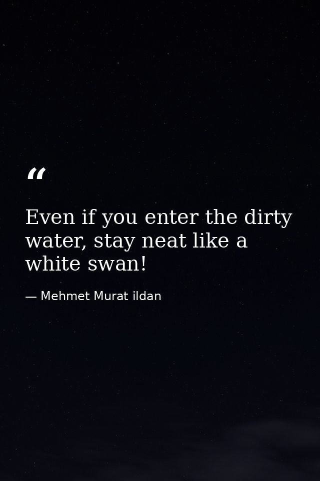 Even if you enter the dirty water, stay neat like a white swan! — Mehmet Murat ildan