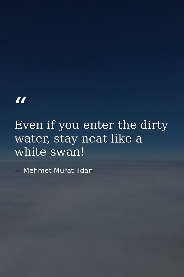 Even if you enter the dirty water, stay neat like a white swan! — Mehmet Murat ildan