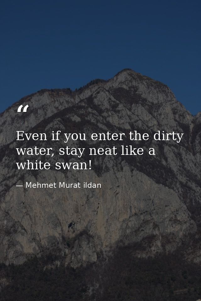 Even if you enter the dirty water, stay neat like a white swan! — Mehmet Murat ildan
