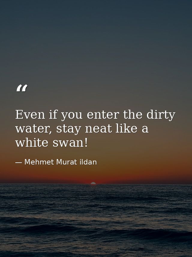 Even if you enter the dirty water, stay neat like a white swan! — Mehmet Murat ildan